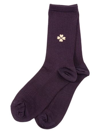 Pico Golden Clover Plum