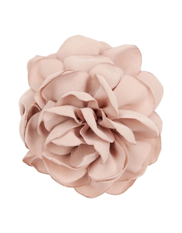 Pico Rose Klemme Beige