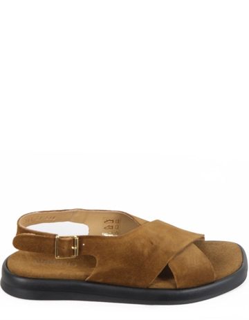 Angulus 5763 Mustard 