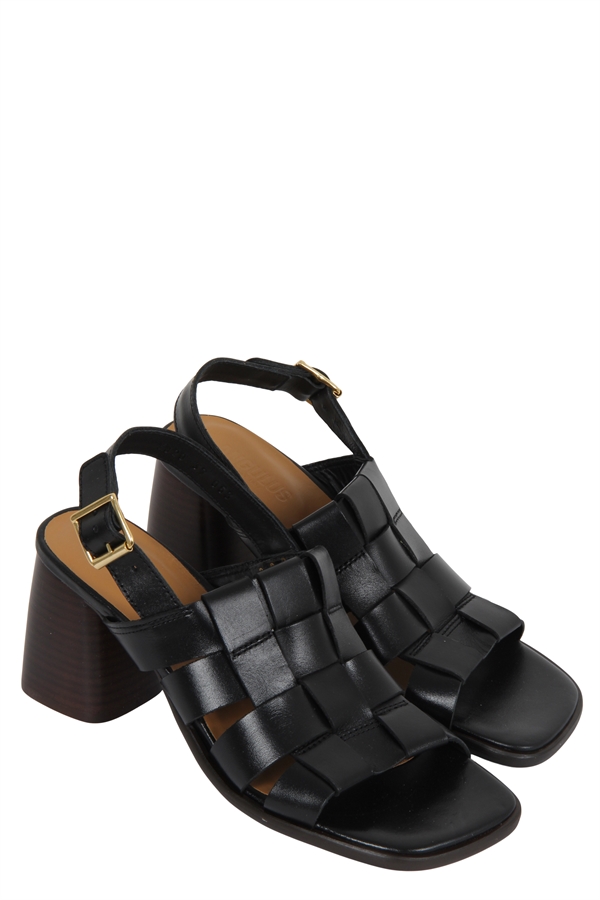 Angulus 5829 Black